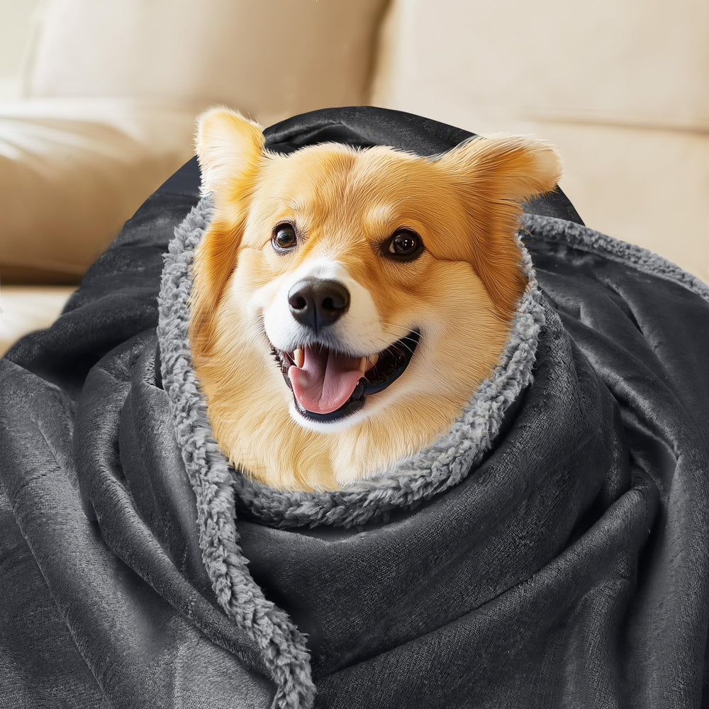 Luciphia Waterproof Pet Blanket dark gray fabric matches living room décor.