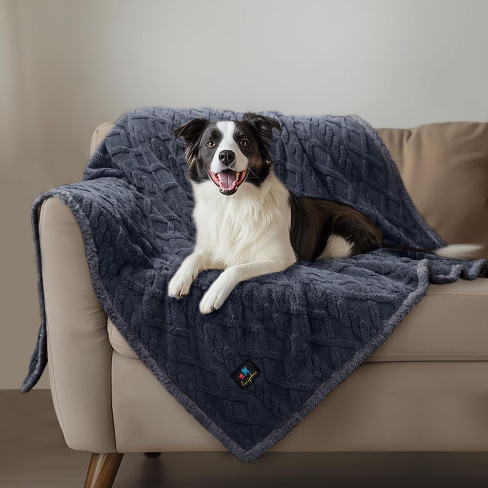 Luciphia dark grey blanket blends with furniture while protecting surfaces.