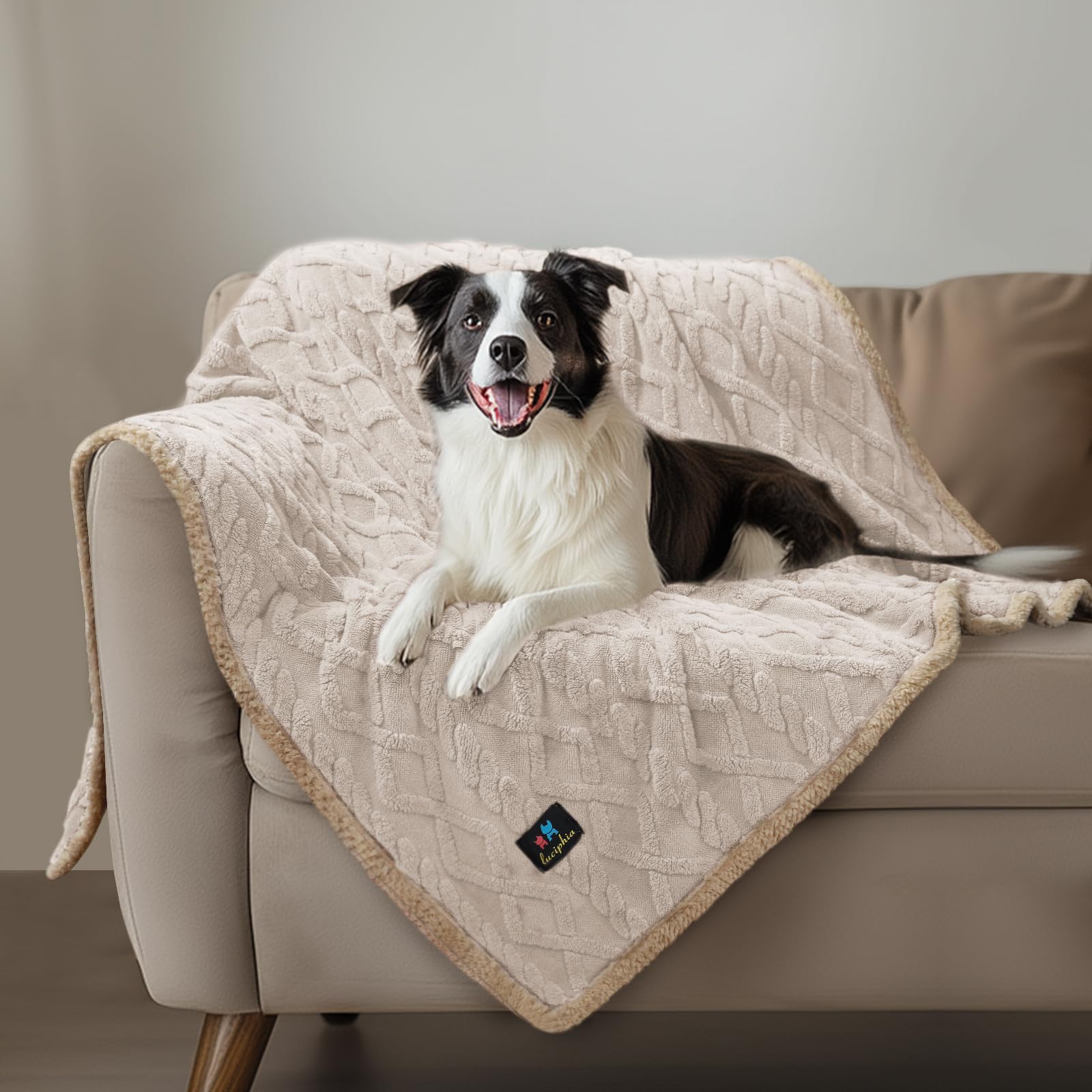 Luciphia Waterproof Pet Blanket four sizes shown for different furniture