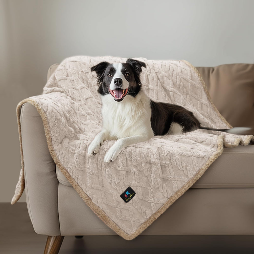 Luciphia Waterproof Pet Blanket four sizes shown for different furniture