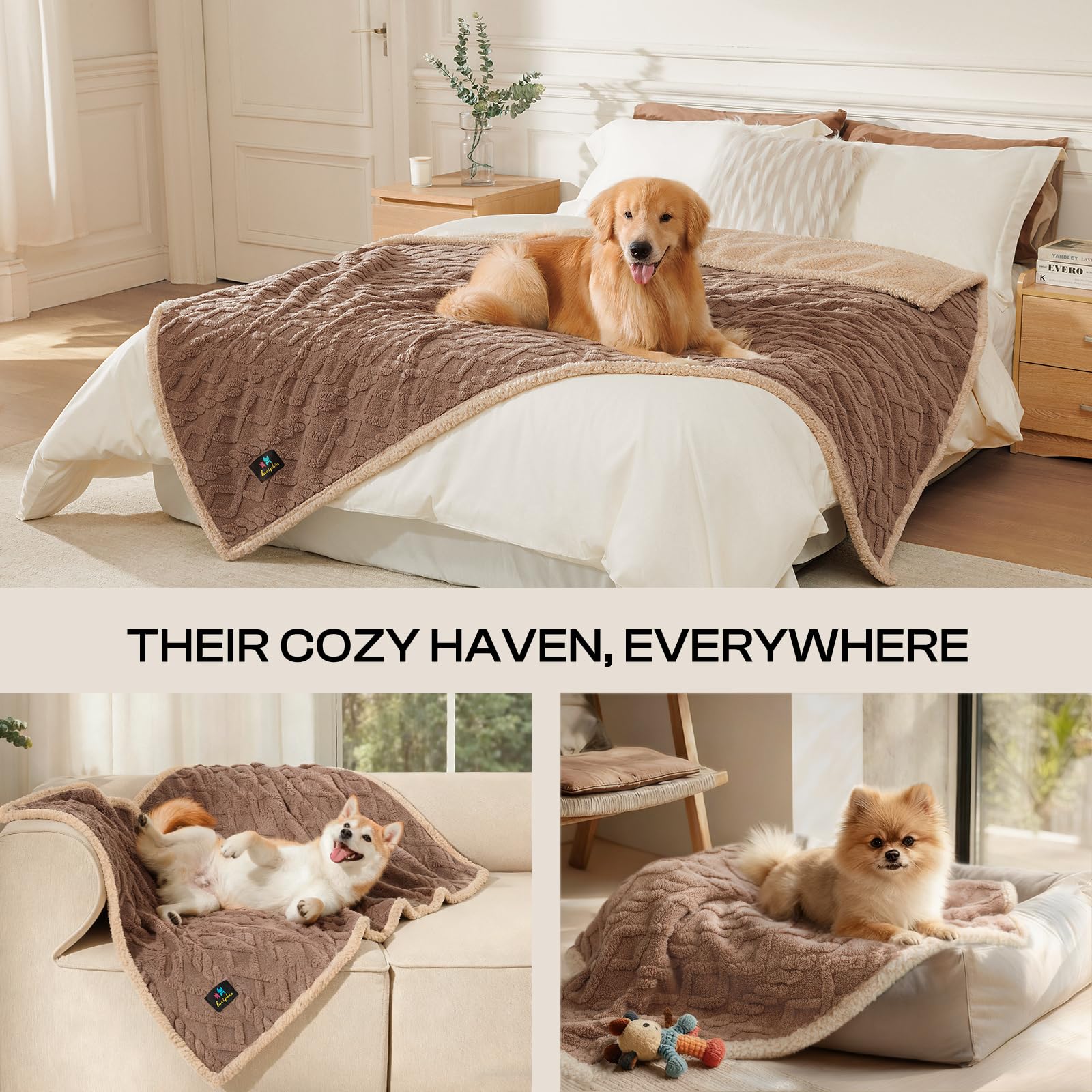 Luciphia pet blanket on couch with dog and cat nap scene