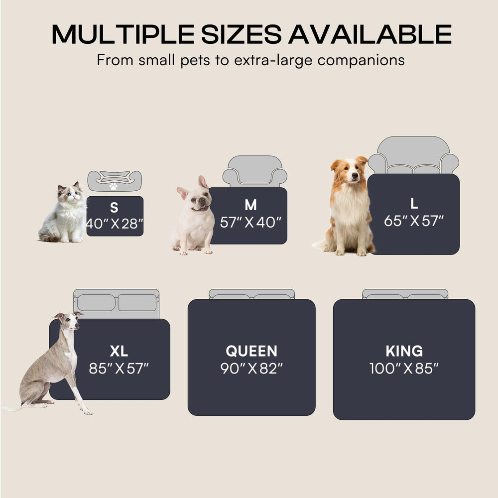 Luciphia comes in four sizes to cover small to large pets.