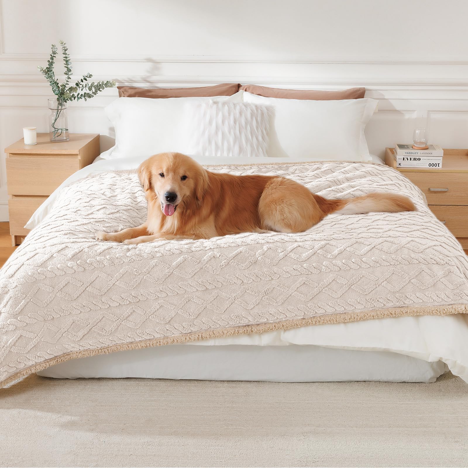 Luciphia waterproof-pet-blanket-furniture-protection on sofa captures stain-free living spaces.