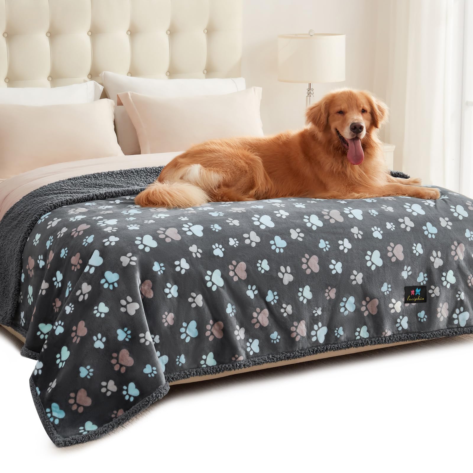 Luciphia waterproof pet blanket on sofa with grey paw design, protecting furniture from spills.