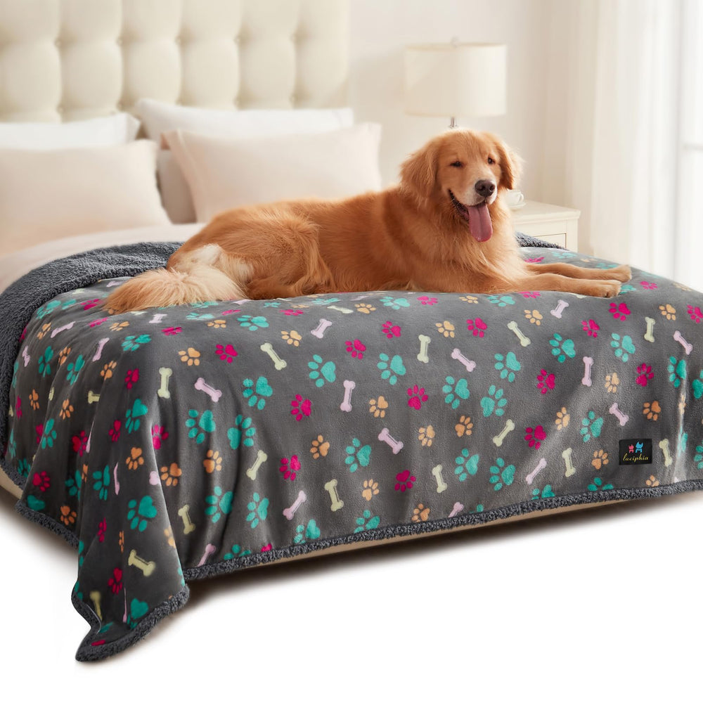Luciphia waterproof pet blanket on sofa provides furniture protection and cozy coverage.