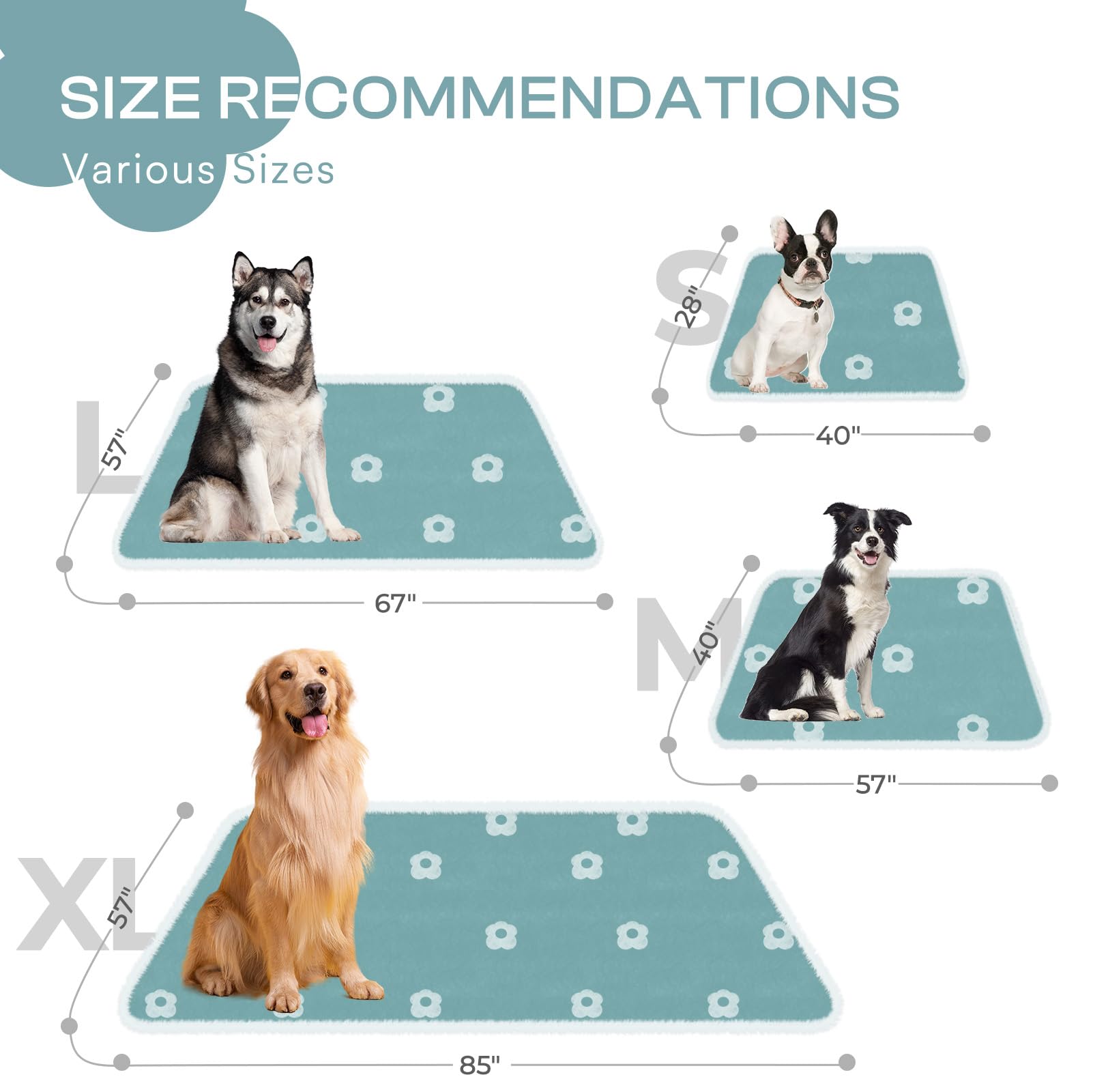Luciphia Waterproof Pet Blanket available in four sizes including 57x40 for large spaces