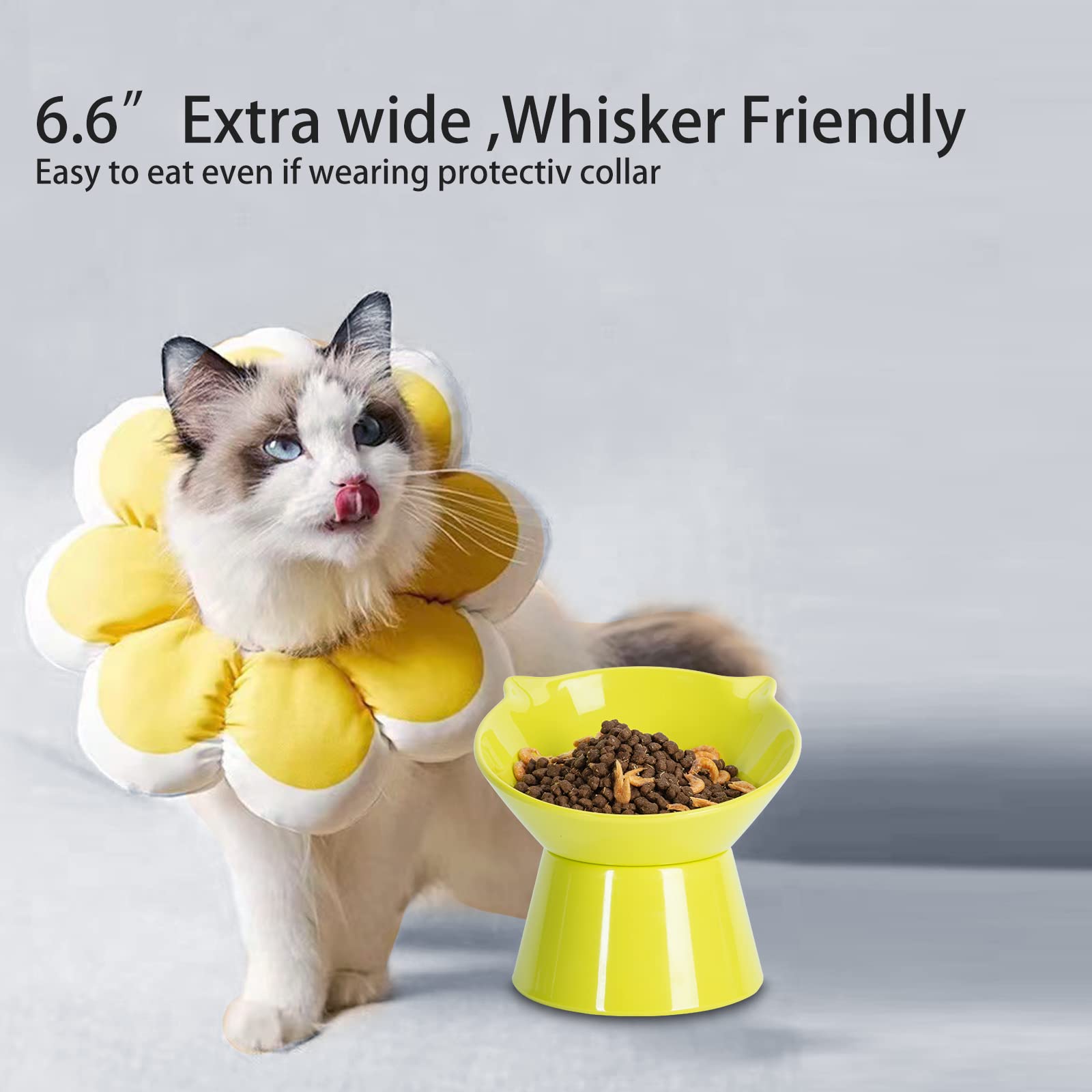 LuckyPots cute cat bowl appearance brightens home décor while feeding.