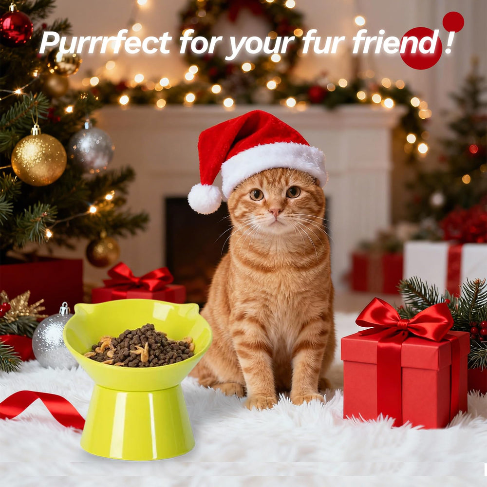 LuckyPots non-slip weighted cat bowl stays in place during meals.