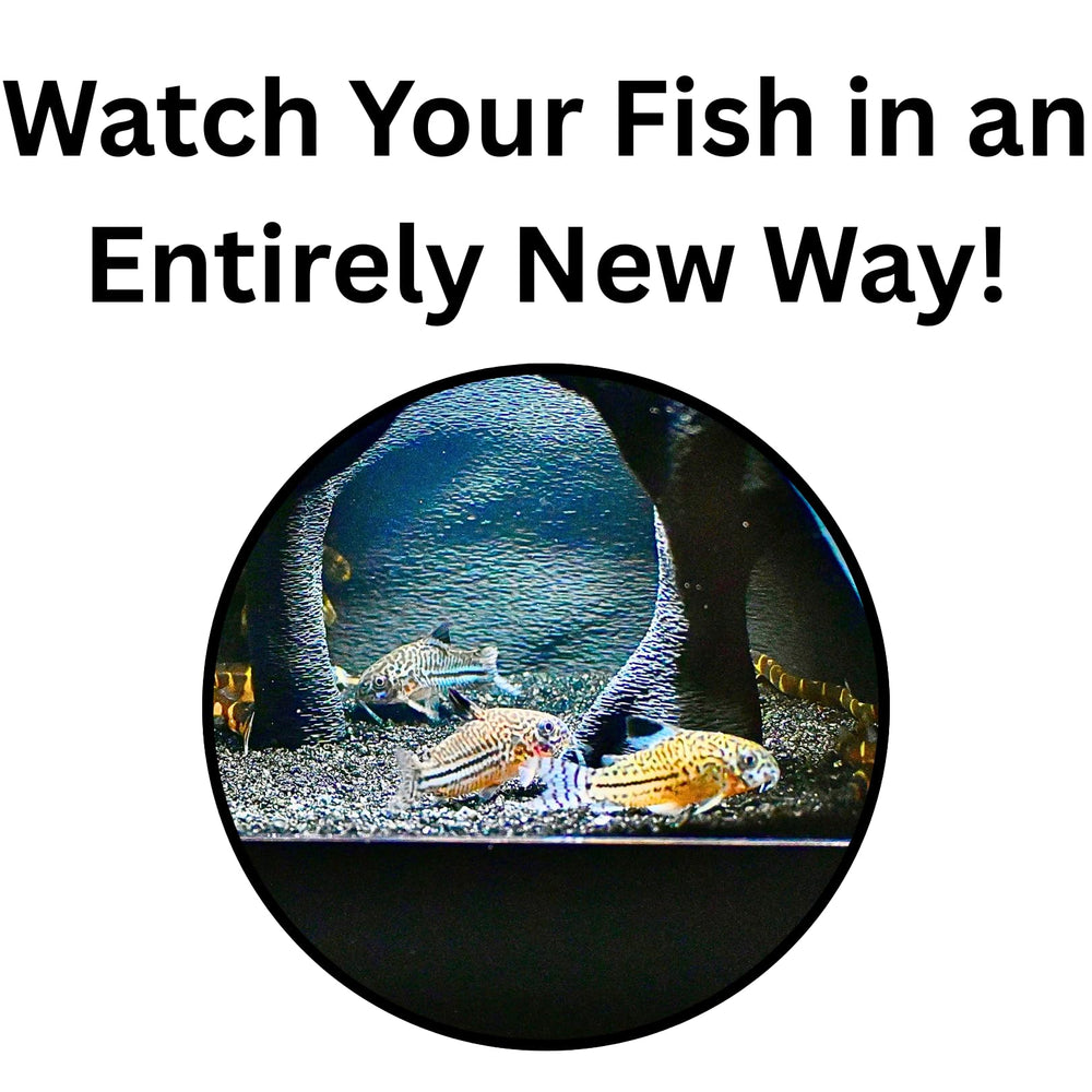 Lucky Critter Aquarium Cave Depth-4-25—designed for versatile tank placement.