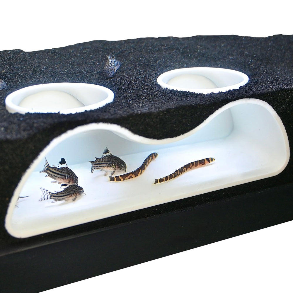 Lucky Critter aquarium underground tunnel two-hole 7in provides a natural hiding spot and viewing shelter.