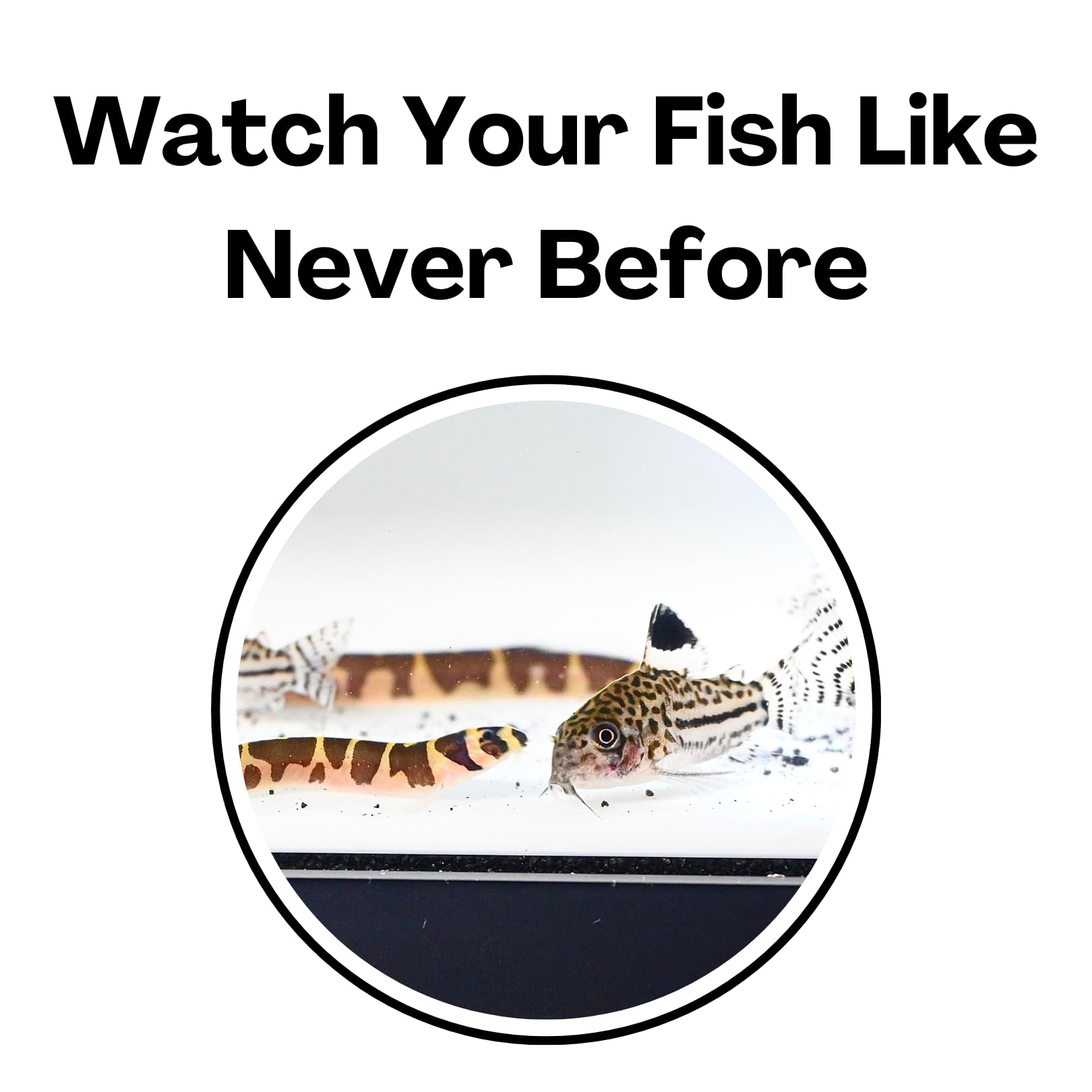 Lucky Critter bottom-sinking design stays put, minimizing substrate disruption.