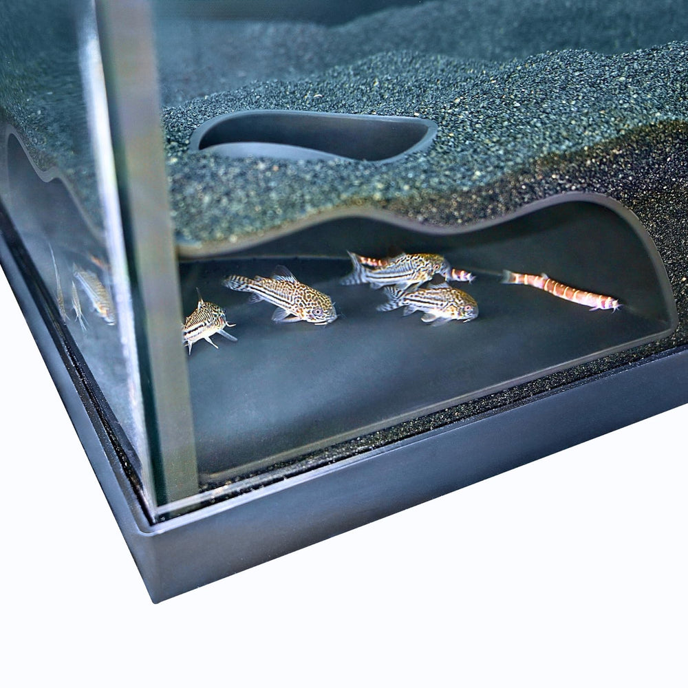 Lucky Critter easy-installation supports quick tank setup against glass.
