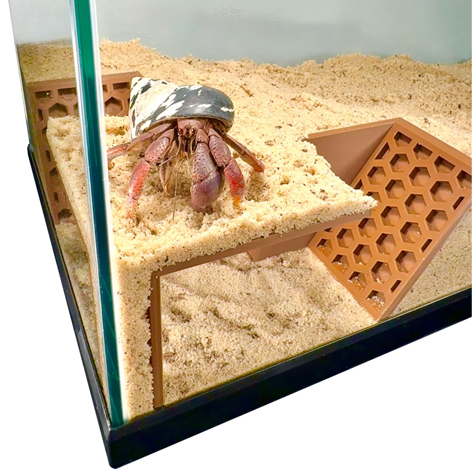 Lucky Critter Hermit Crab Hideout Tank Decor offers cozy retreat and hiding spots.