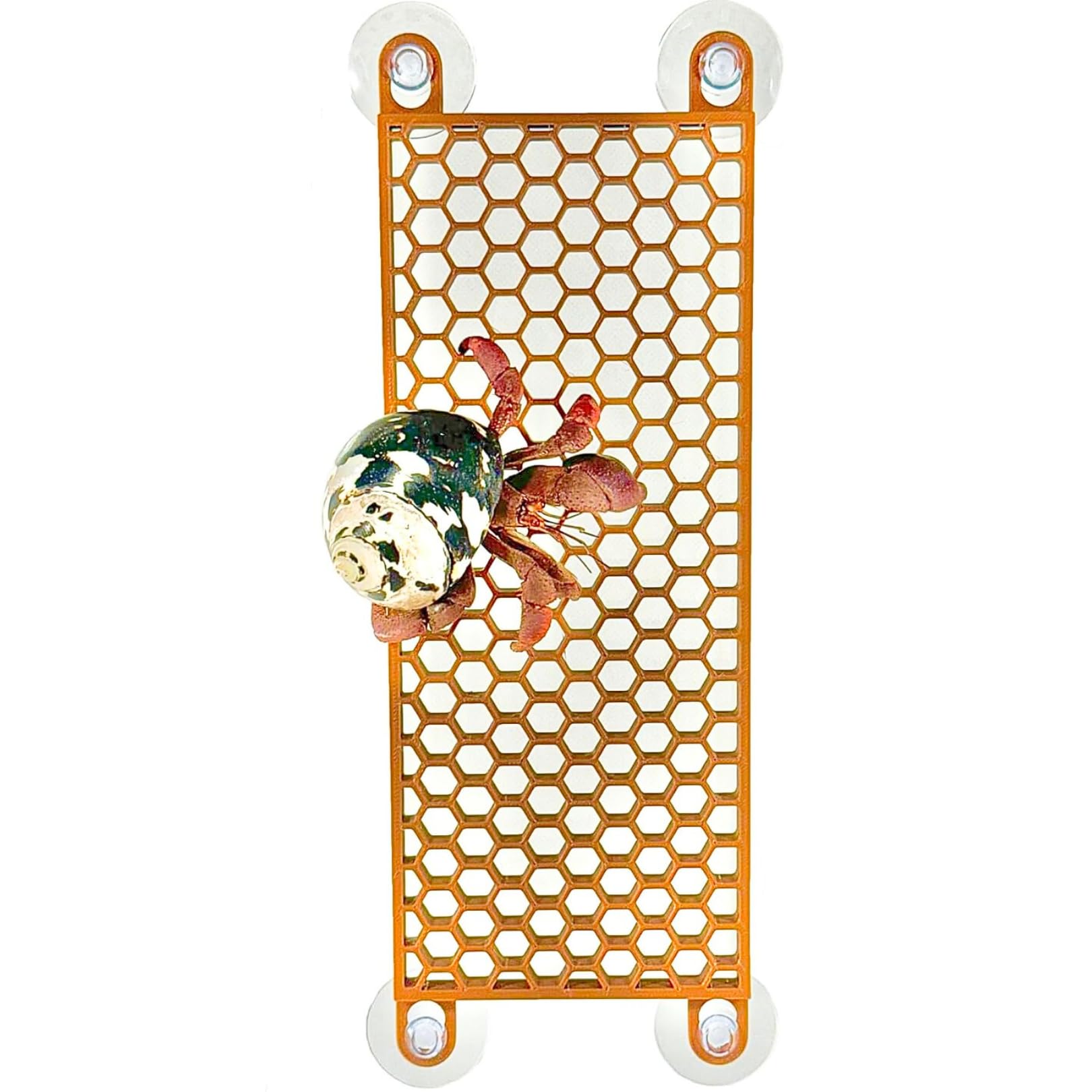 Lucky Critter Hermit Crab Ladder front view shows climb path and accessibility