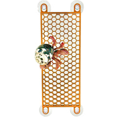 Lucky Critter Hermit Crab Ladder front view shows climb path and accessibility