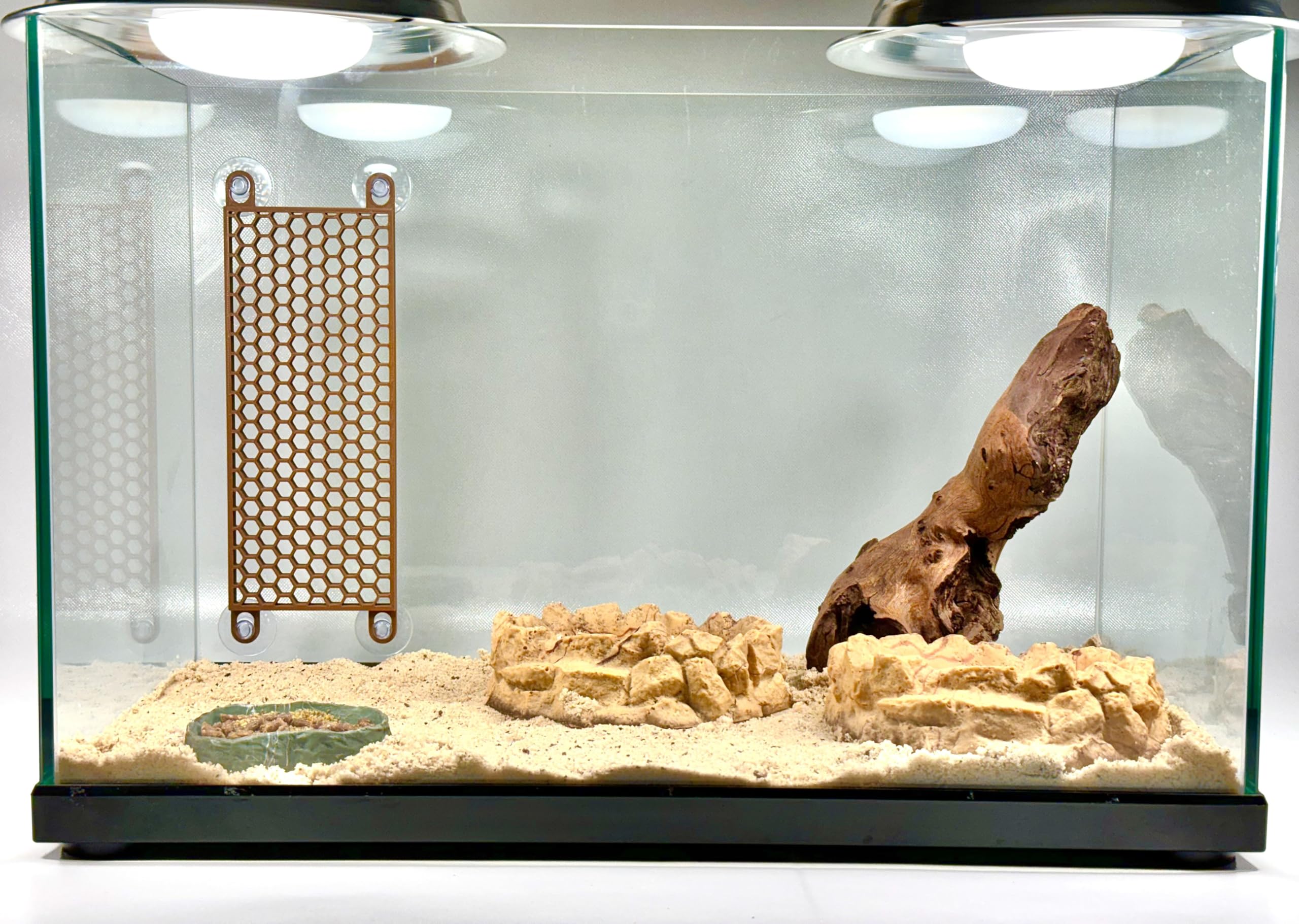Lucky Critter Hermit Crab Ladder in tank demonstrates enrichment in action