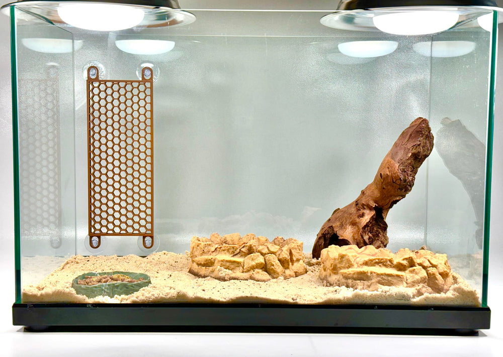 Lucky Critter Hermit Crab Ladder in tank demonstrates enrichment in action