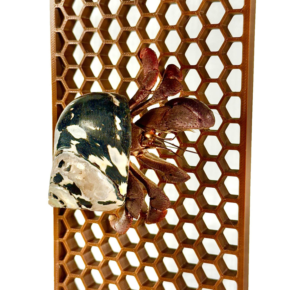 Lucky Critter Hermit Crab Ladder tilt angle demonstrates versatile access