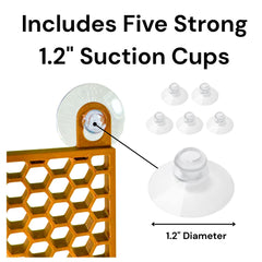 Lucky Critter Hermit Crab Ladder top view displays hexagonal rungs for grip