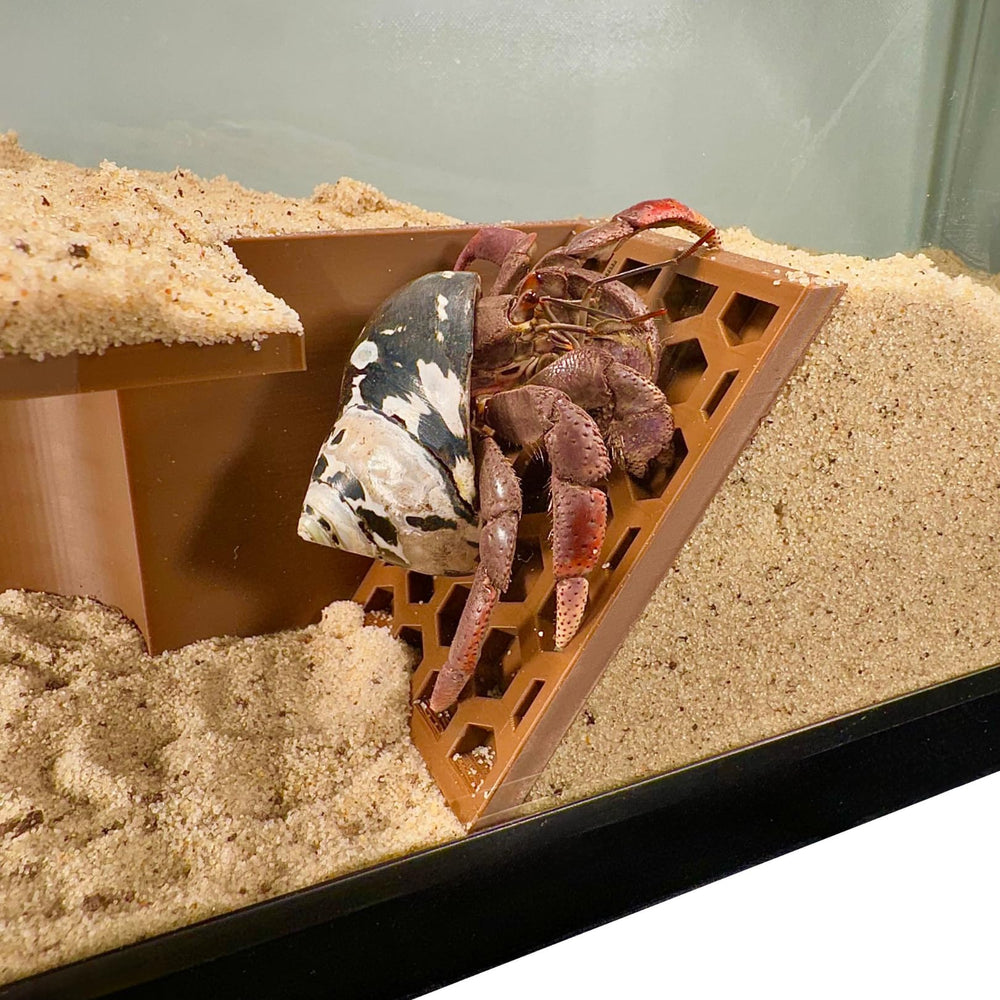 Lucky Critter Hermit Crab Tank Setup Enrichment helps observation and habitat complexity.