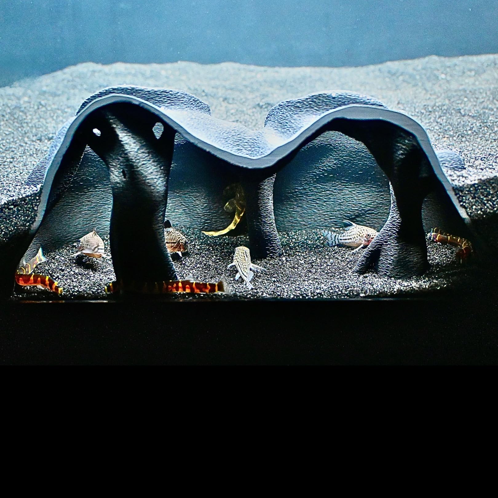 Lucky Critter Mangrove Tree Curve Cave—natural look enhances tank aesthetics.