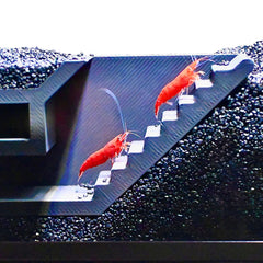 Lucky Critter Shrimp Cave surface detail highlighting safe plastic.