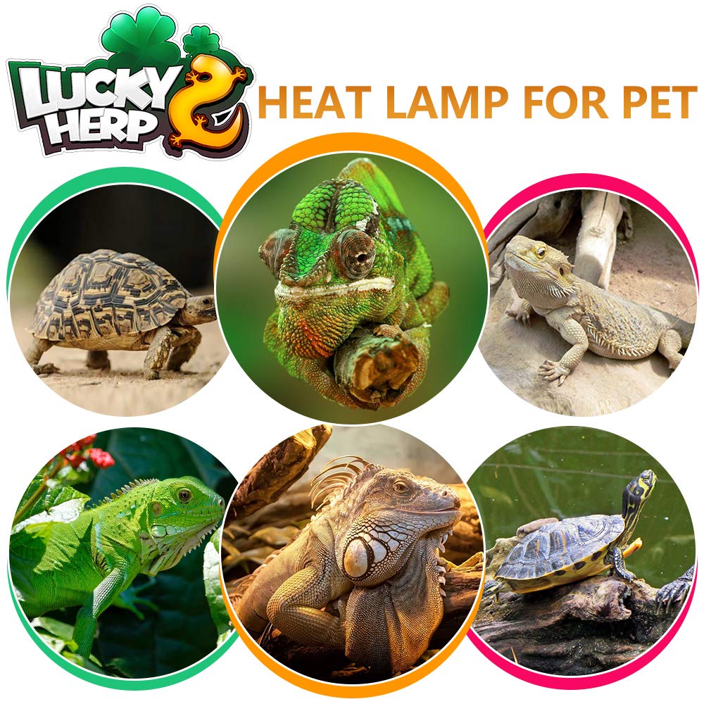 LUCKY HERP 160W UVB lamp standard E26 socket for easy install
