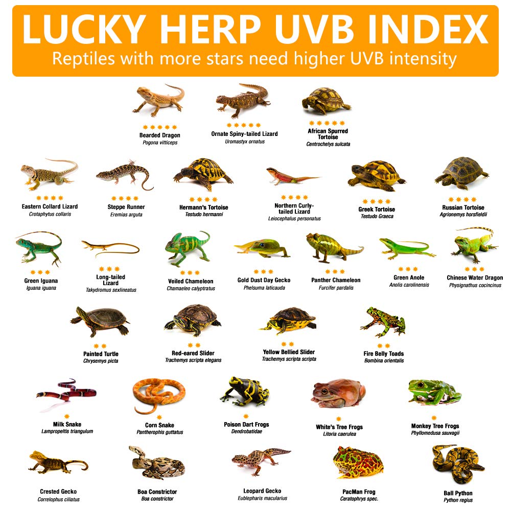 LUCKY HERP 160W UVB lamp vertical mounting for safe setup
