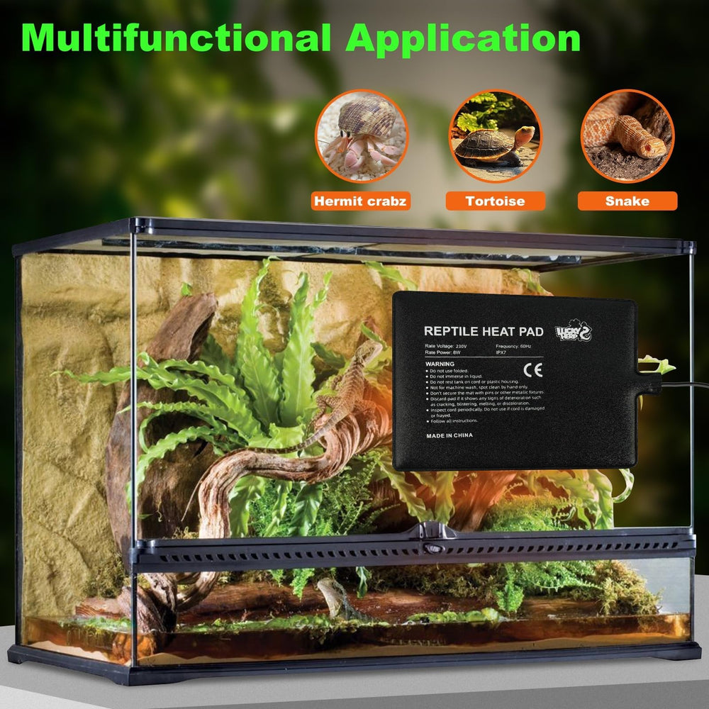 LUCKY HERP adhesive mounting shows simple secure installation at terrarium bottom.