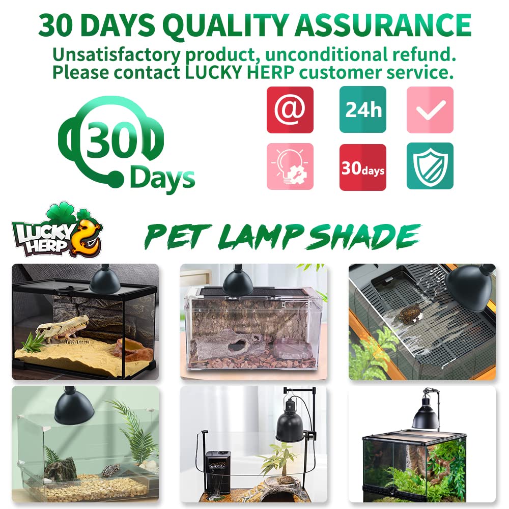 LUCKY HERP assembly and switch-cord packaging enables easy setup
