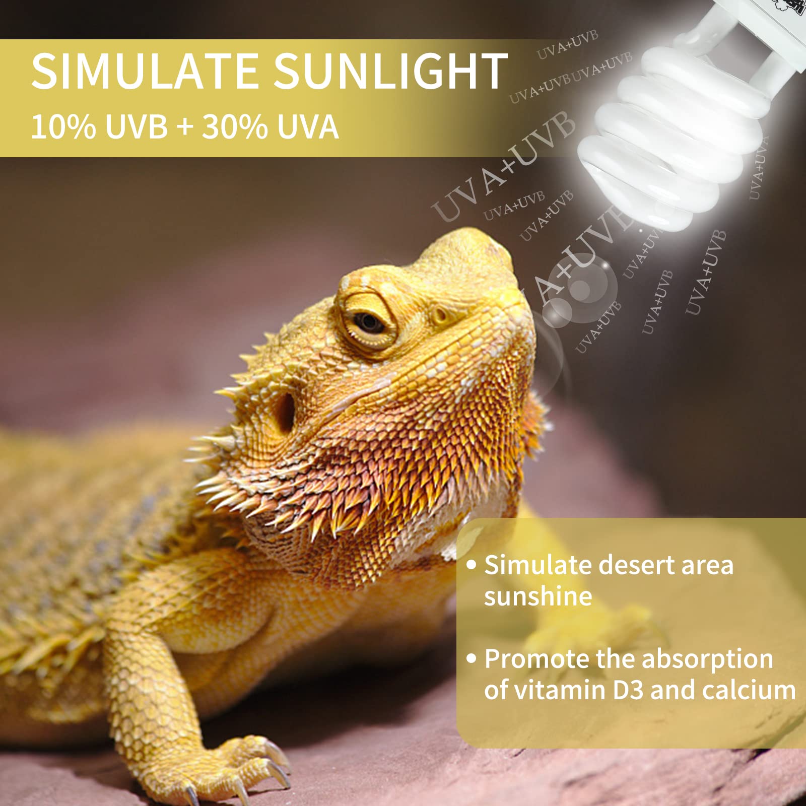 Lucky Herp bearded dragon basking under UVB glow