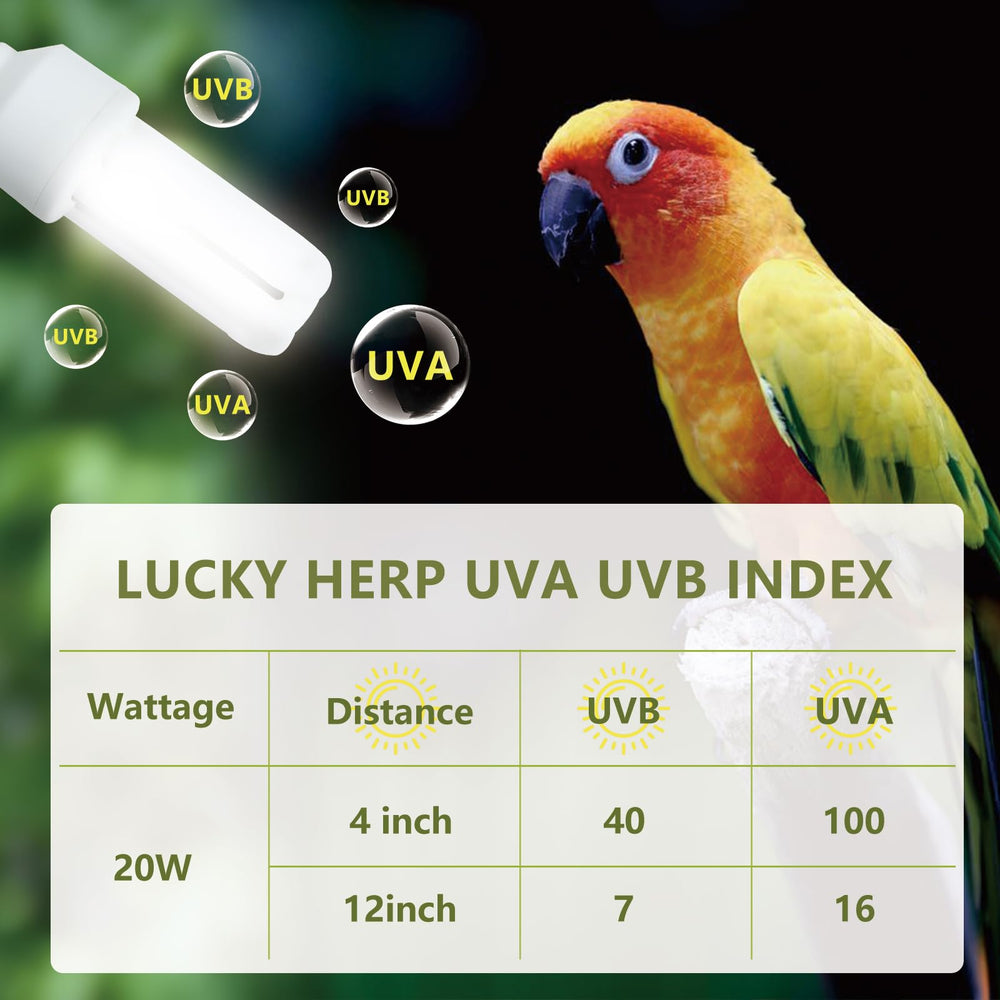 LUCKY HERP UVB light reveals feather detail and color in birds