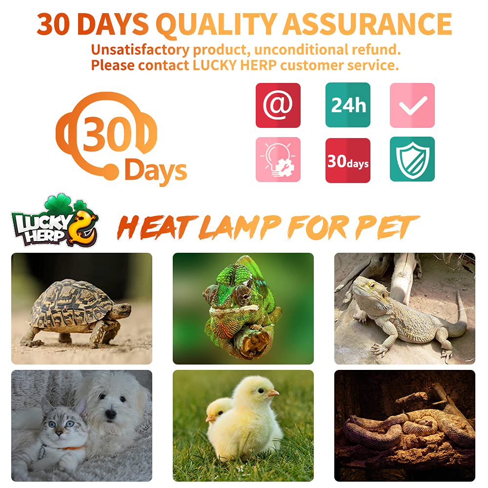 LUCKY HERP 10,000-hour lifespan heat emitter ensures reliable warmth