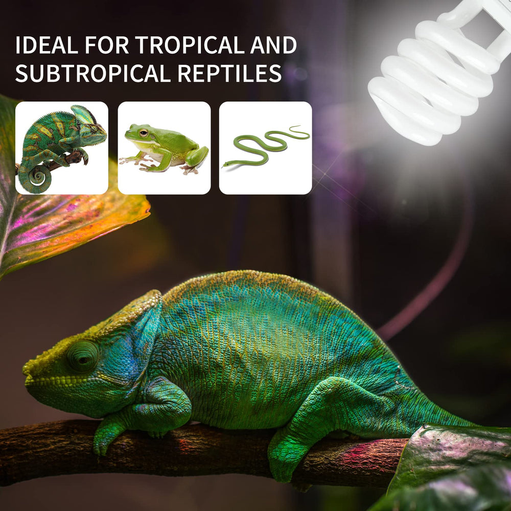 LUCKY HERP lighting for chameleons turtles and lizards in enclosure