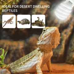 LUCKY HERP desert-uvb-bulb-reptile-behavior suggests improved appetite and activity cues