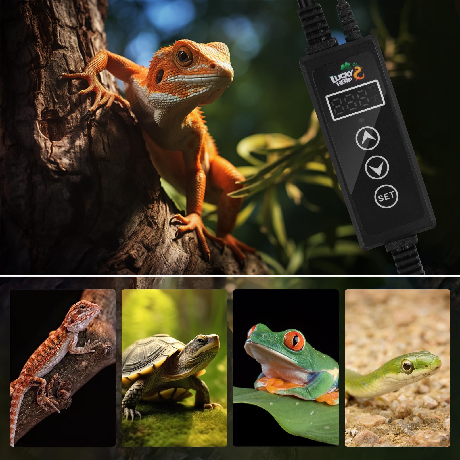 LUCKY HERP LED indicators alert on extreme temperatures (LL/HH)