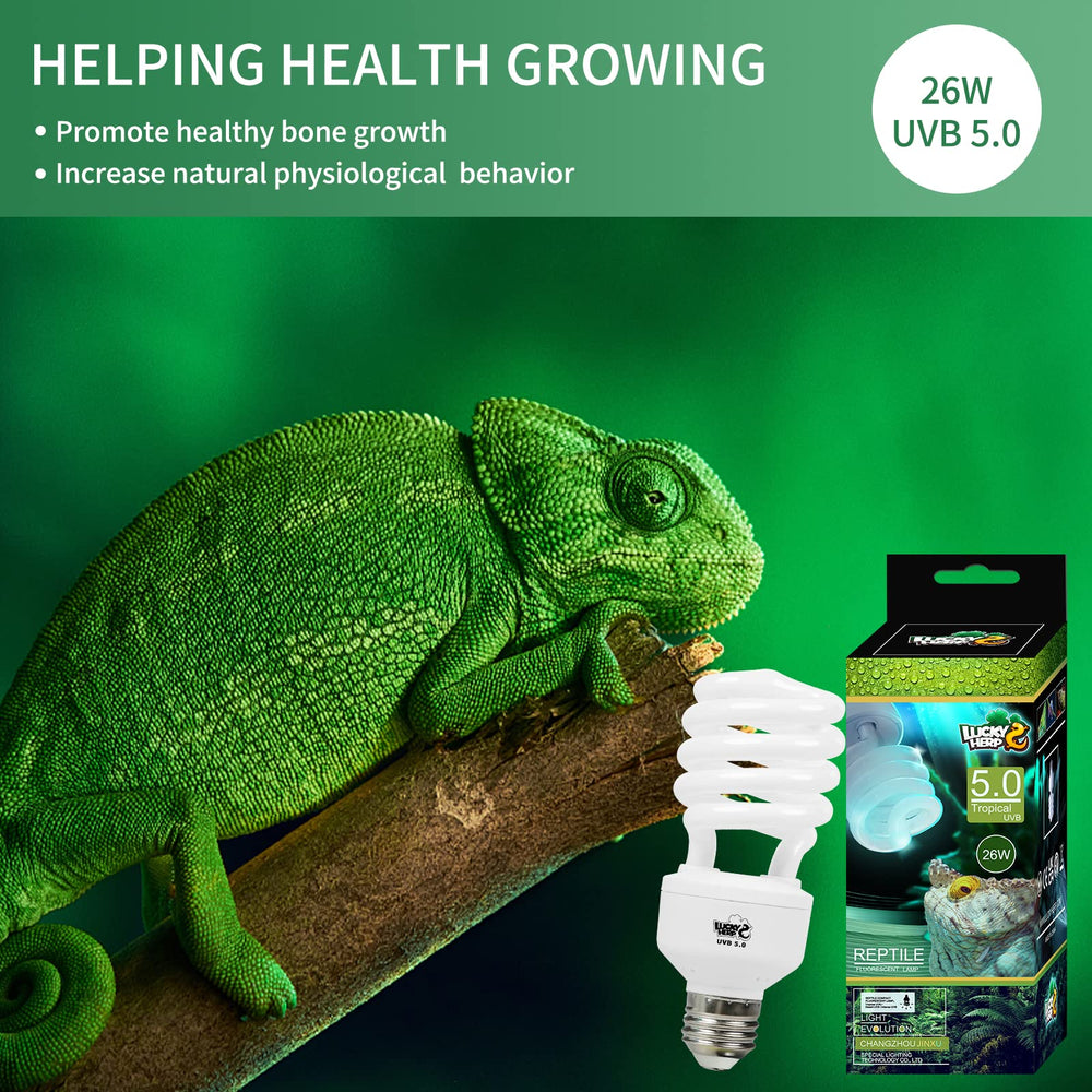 LUCKY HERP energy-efficient terrarium light; low heat output for safe enclosures.
