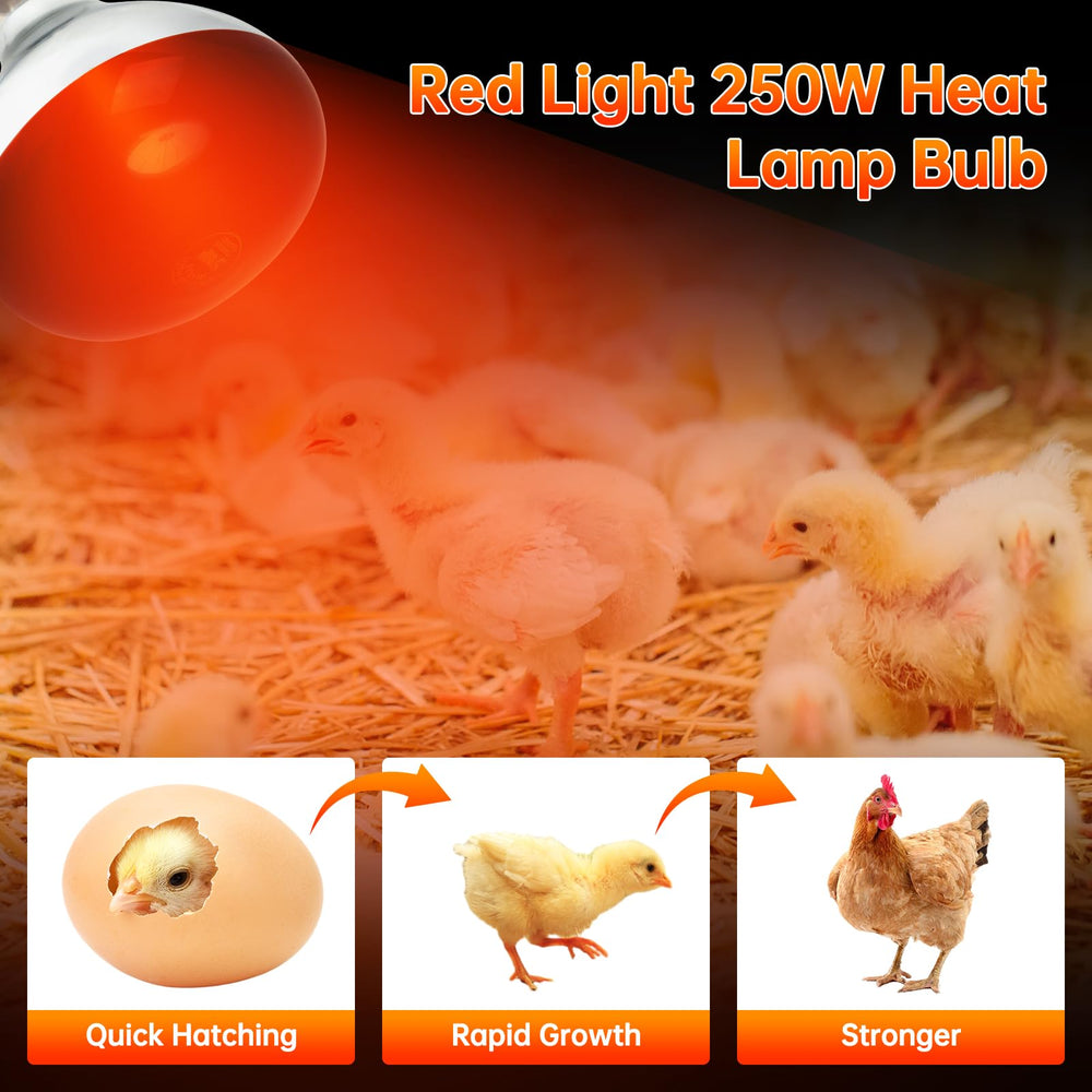 Lucky Herp heat lamp in brooders and coop setup for healthy chicks