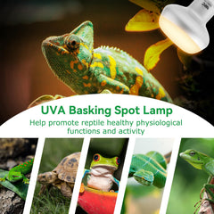 LUCKY HERP heat lamp with 3000-hour life for durable reptile heating.