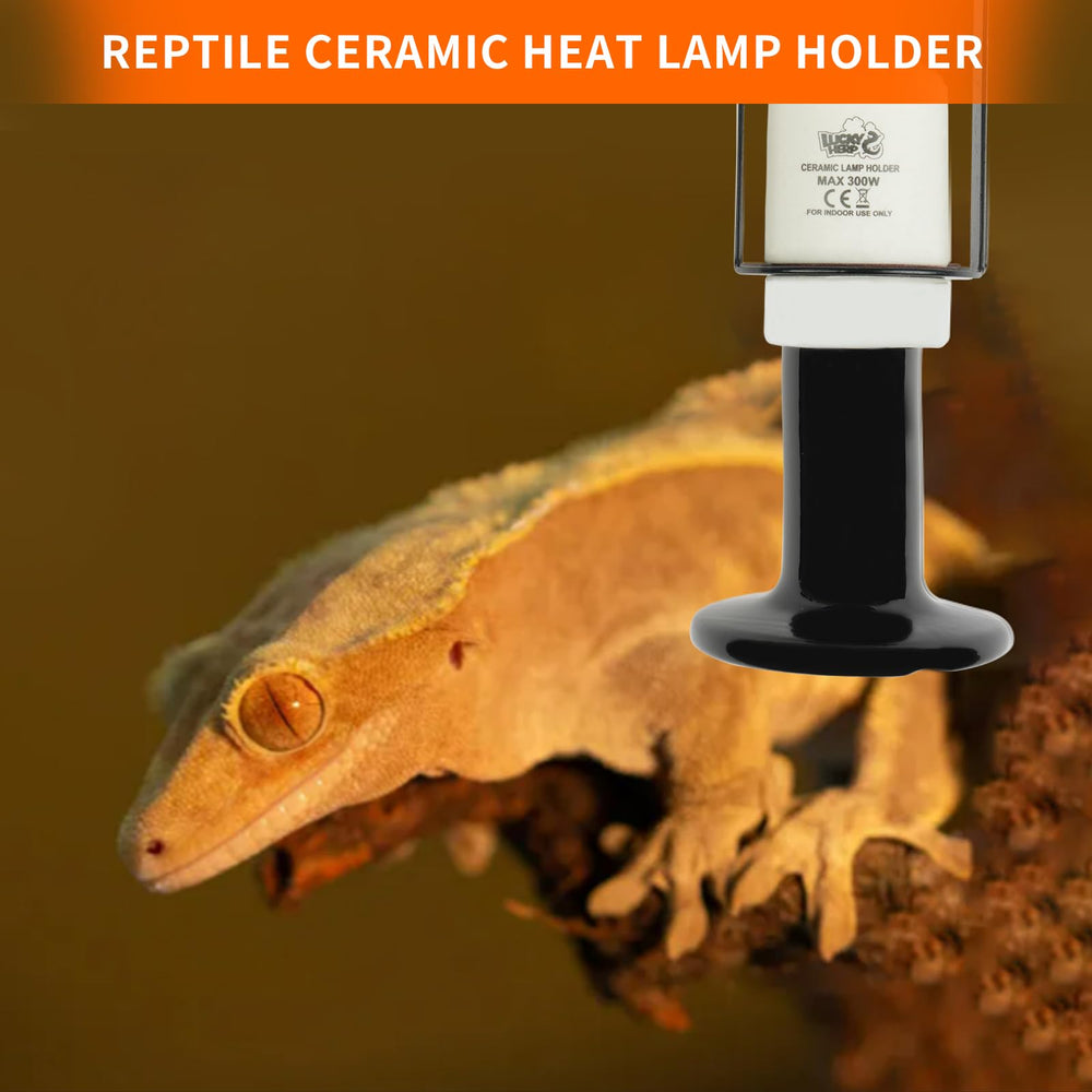 LUCKY HERP 2-pack mounted on terrarium ceiling ensures secure placement