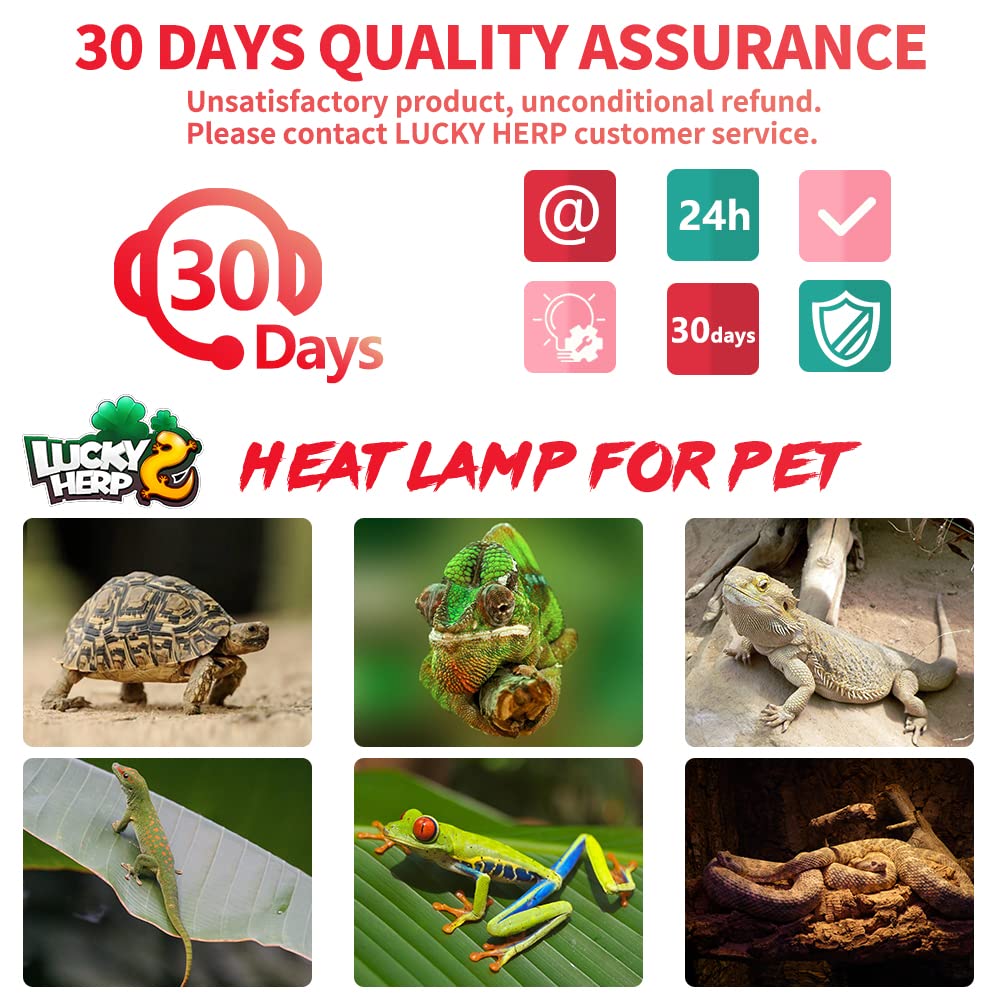 LUCKY HERP pack doble, práctico para terrarios