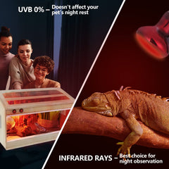 LUCKY HERP lámpara termica 100W en terrario, calor suave