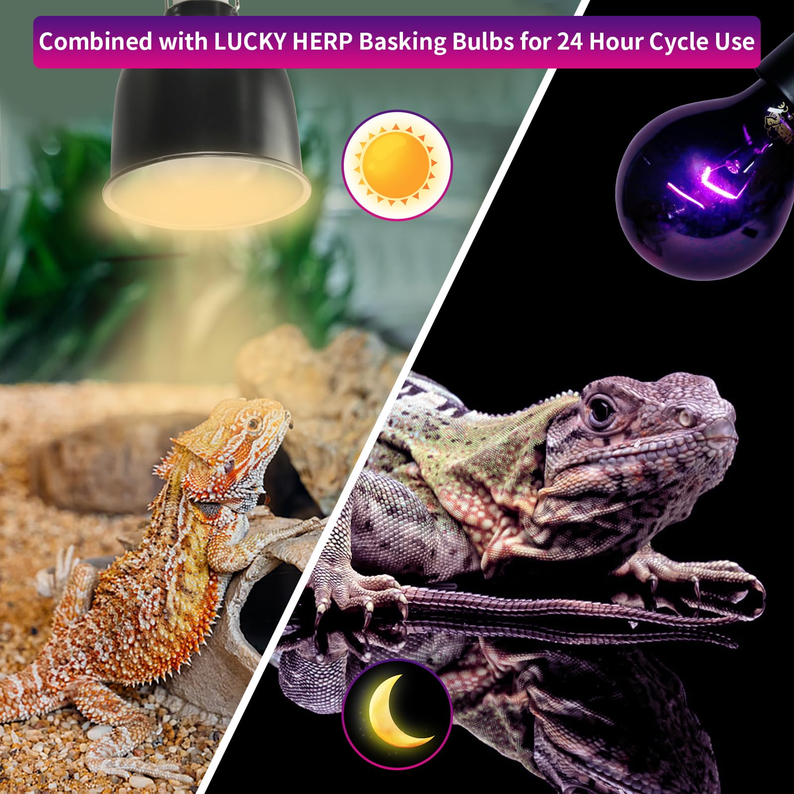 LUCKY HERP long lasting lamp with 2000 to 3000 hour lifespan