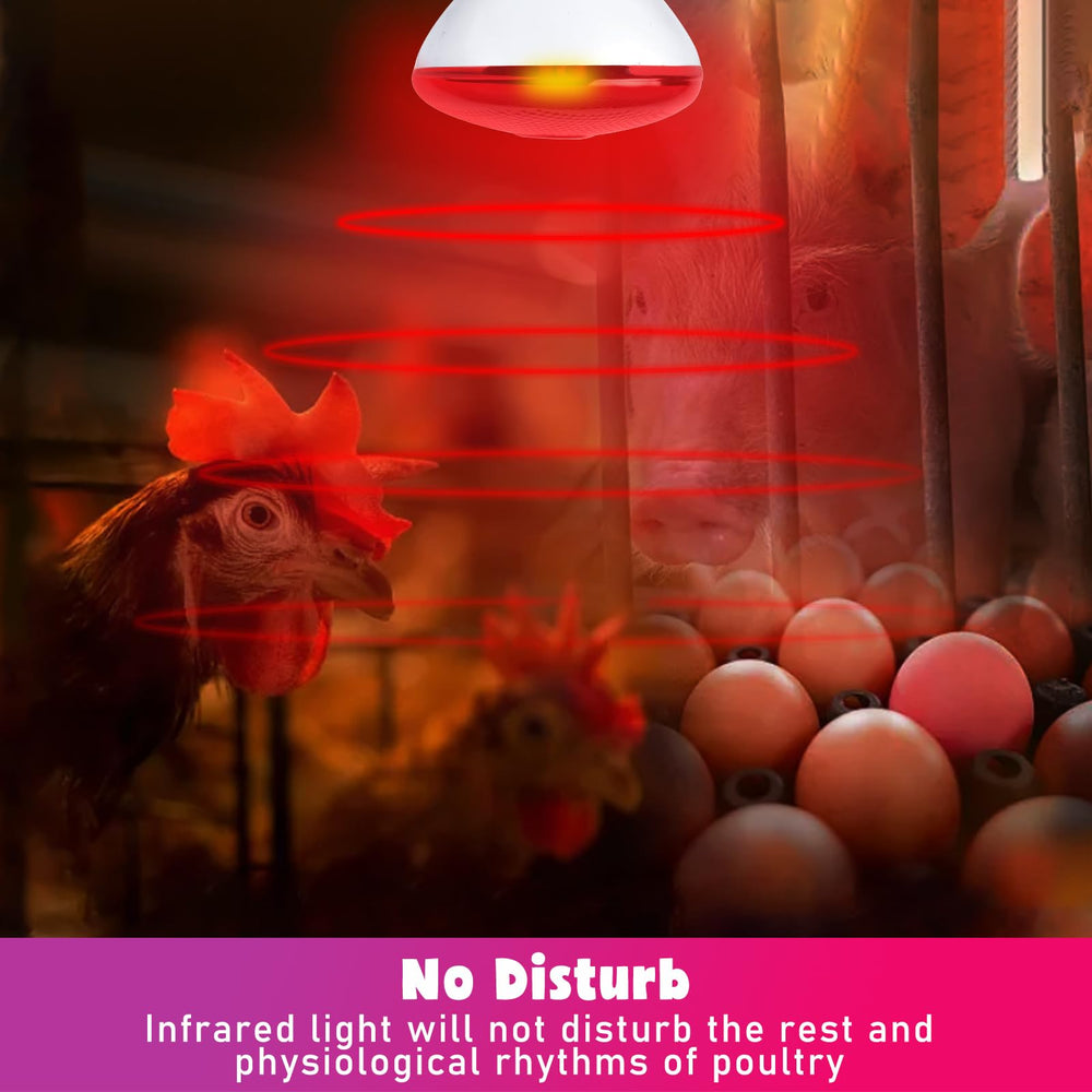 LUCKY HERP infrared heat lamp provides pet warmth for small animals at home.