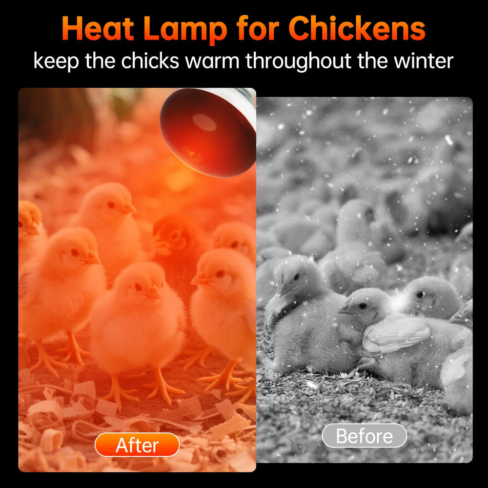 Lucky Herp red infrared light for pets supports restful sleep