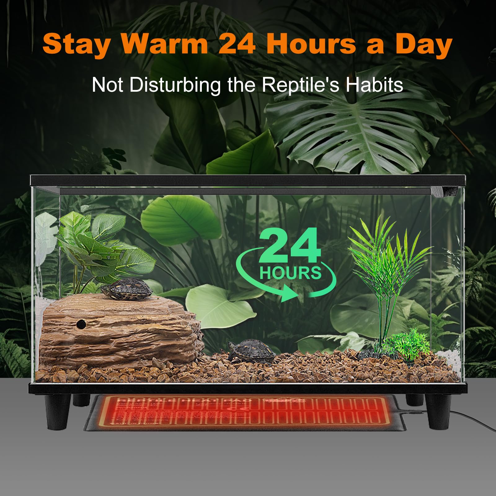Lucky Herp terrarium application demonstrates versatile use for reptiles and plants.