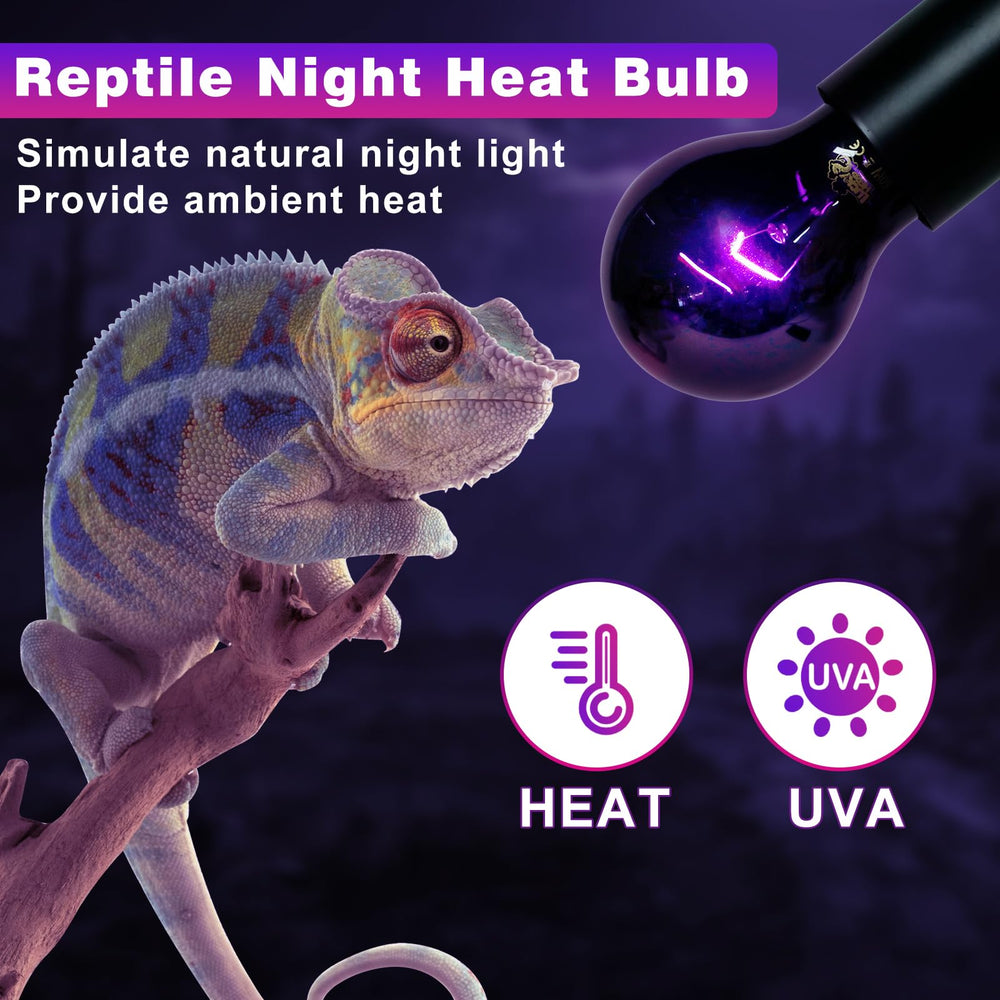 LUCKY HERP reptile night light setup demonstrates gentle heat without glare