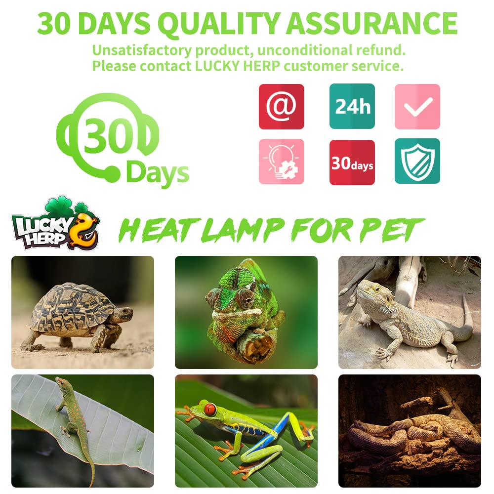 LUCKY HERP 50W heat-lamp supports heat within reptile habitats for digestion-friendly warmth.
