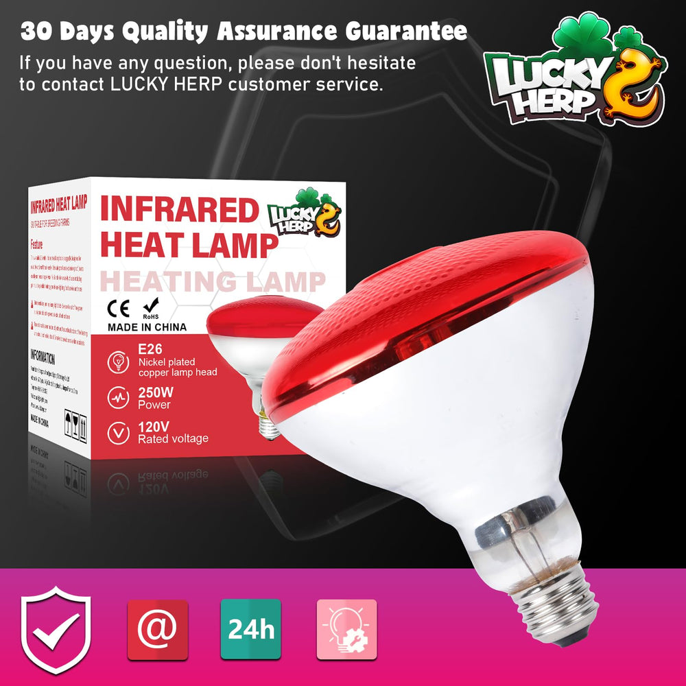 LUCKY HERP safety-distance heat-lamp guidance helps protect pets during use.
