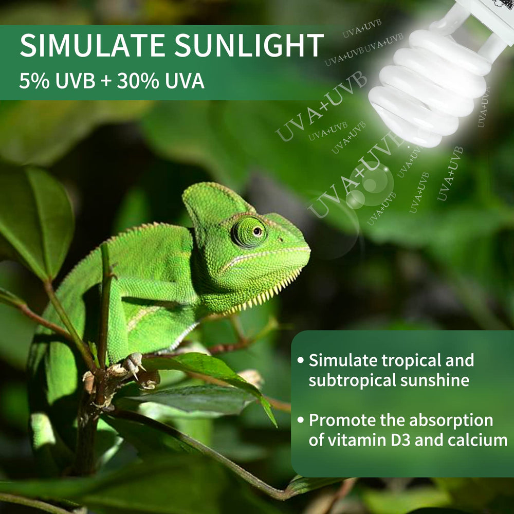 LUCKY HERP safety guidelines graphic for UVB bulb use